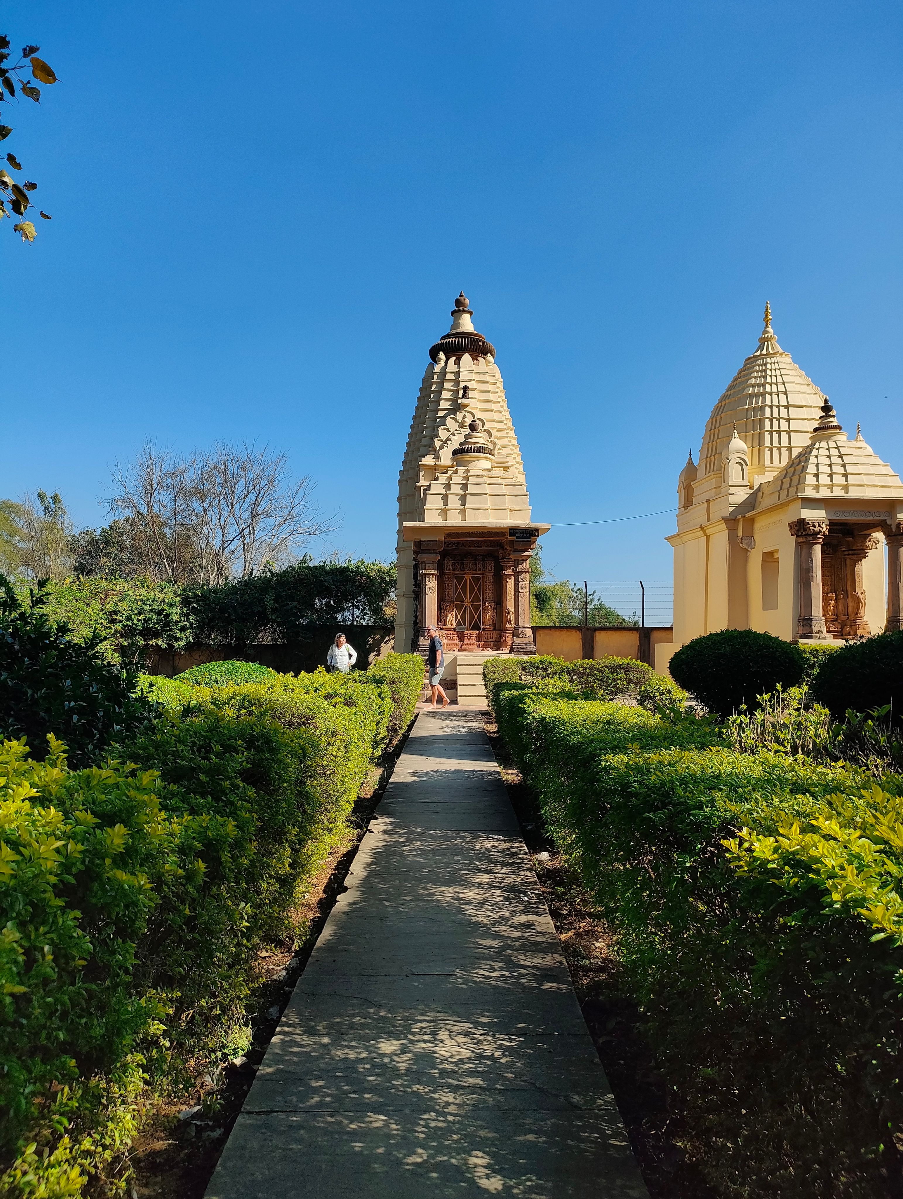 Baglamukhi
