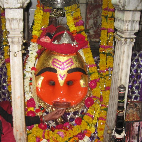 Liquor Offering